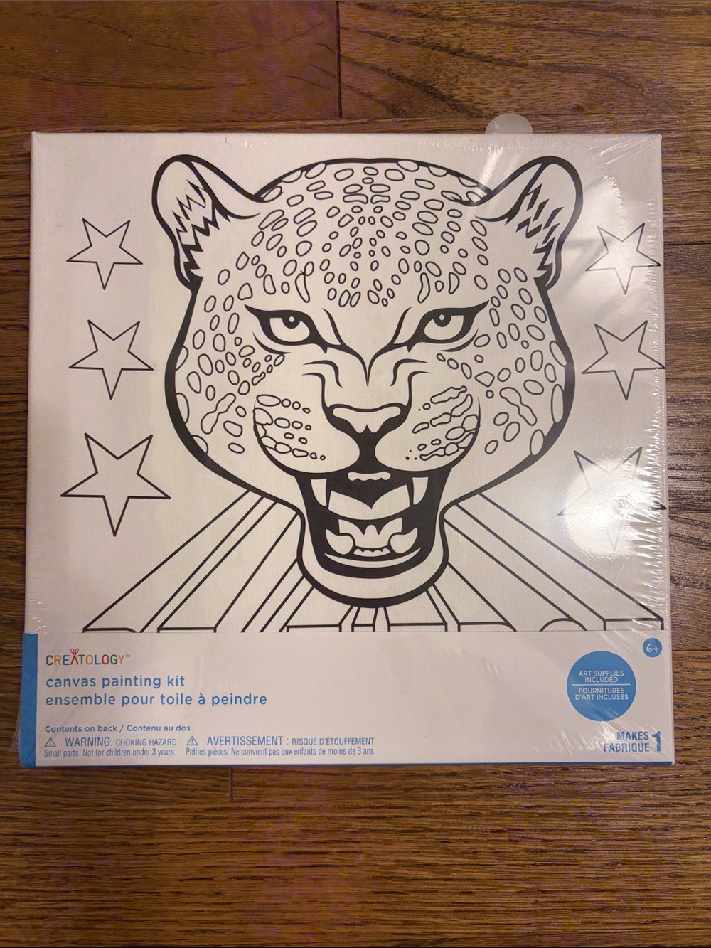 Creatology White Canvas Painting Kit with Leopard Design